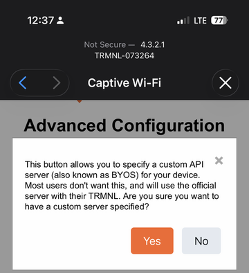 Prompt confirming a custom API server