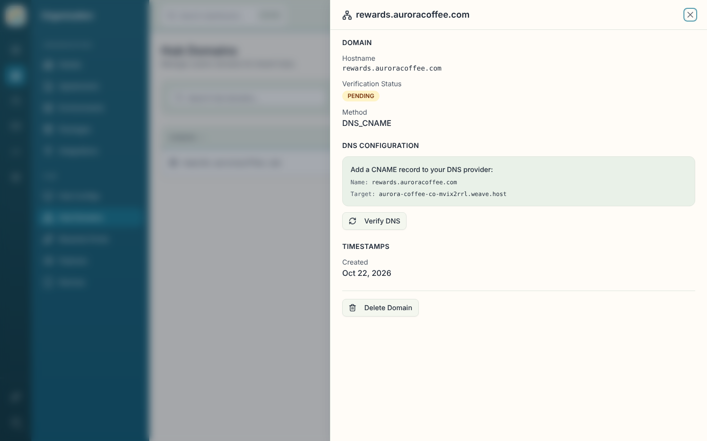 Pending domain details with the CNAME instructions and Verify DNS button